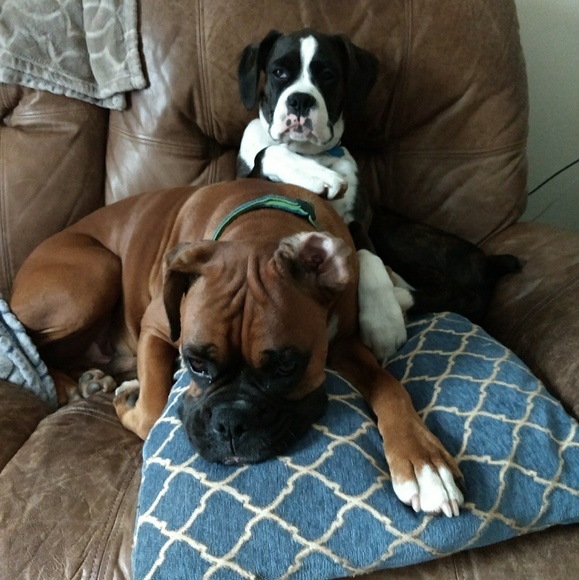 Meet your Posher, Linda - Picture 2 of 2